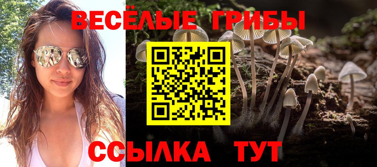 Галлюциногенные грибы Magic Shrooms  Псилоцибиновые грибы ЛСД  Вход с VPN  Урай 